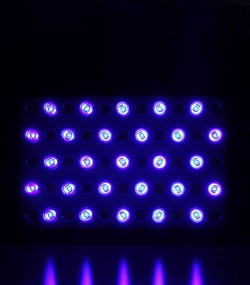 LED Aquarienlicht, LED Aquariumlicht, LED Aquariumstrahler